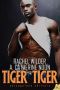 [Chicagoland Shifters 02] • Tiger Tiger